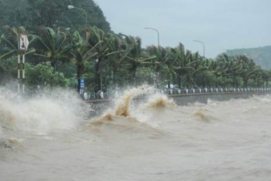 Dự báo thời tiết hôm nay 30/11: Trung Bộ đương đầu bão Sinlaku, Bắc Bộ đón không khí lạnh