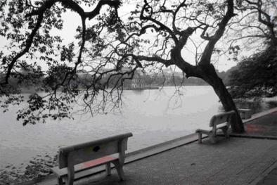 Dự báo thời tiết ngày mai 2/12: Nền nhiệt Bắc bộ tiếp tục giảm