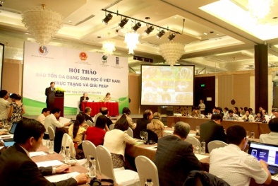 Phòng tránh nguy cơ suy giảm nghiêm trọng đa dạng sinh học