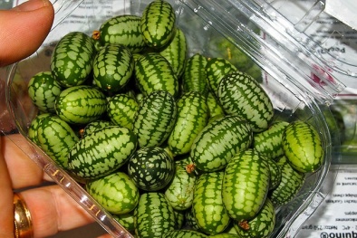 20.000 đồng/hạt giống dưa hấu tí hon