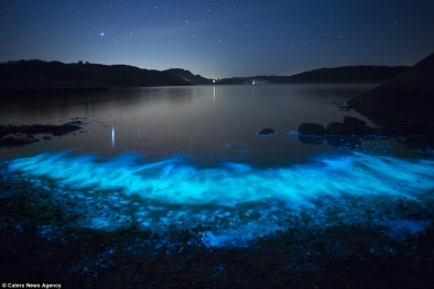 Hiện tượng biển phát sáng tuyệt đẹp tại Thụy Điển