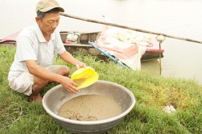 Hốt bạc với nghề nuôi trứng nước làm thức ăn cho cá