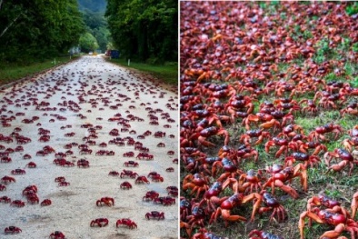 Tin tức khoa học công nghệ mới nhất hôm nay ngày 5/12