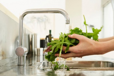 Các vật dụng gia đình là ổ vi khuẩn độc hại không ngờ