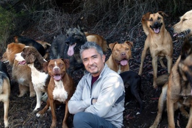 Chuyên gia huấn luyện chó nổi tiếng nhất thế giới bị đồn đã chết