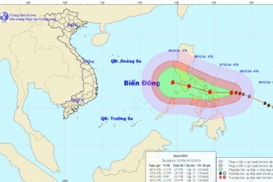 Tin bão mới nhất: Bão Hagupit sắp đổ bộ vào Philippin