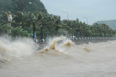 Dự báo thời tiết ngày mai 9/12: Bão Hagupit đổ bộ vào Biển Đông