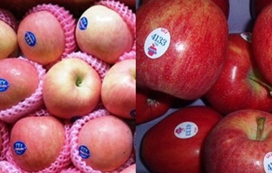Mẹo phân biệt táo Trung Quốc và táo Mỹ