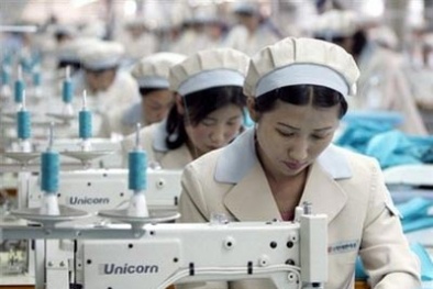 Chi hơn 1,9 tỷ đồng điều tra năng lực sản xuất của DN