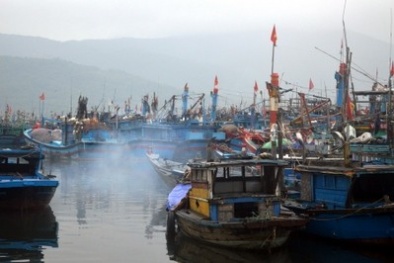 Lên phương án di dời dân cư ven biển