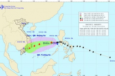 Tin mới nhất bão Hagupit: Bão mạnh dần và đổi hướng trước khi vào nước ta