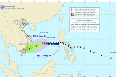 Dự báo thời tiết ngày mai 12/12: Bão Hagupit suy yếu thành áp thấp, không khí lạnh tăng cường