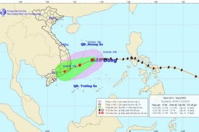 Tin bão mới nhất: Bão hagupit gây sóng biển cao 2-4m