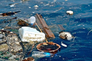 Rác thải nhựa trên biển đang ở mức báo động