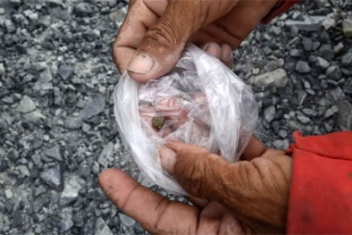 Thực hư bới đá tìm 'vàng' ở Trà Vinh