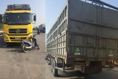  Hải Dương: Cùng lúc bắt 2 xe quá tải trùng biển số