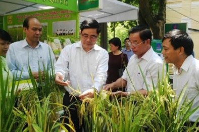 Đâu là con số thực về doanh nghiệp khoa học và công nghệ Việt Nam?