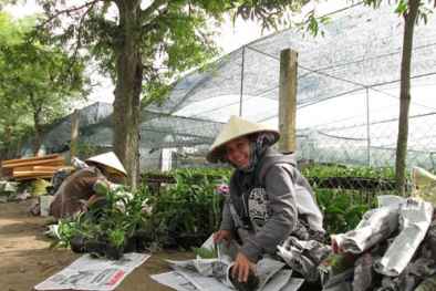 Lan chơi Tết cháy hàng