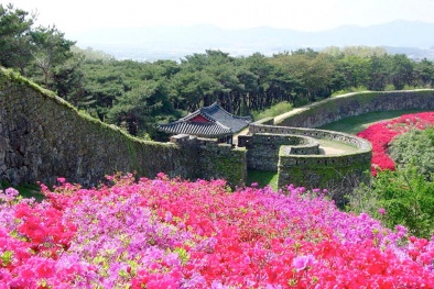 Địa điểm du lịch tết dương lịch 2015 ở nước ngoài hút khách 