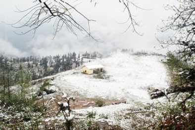 Những điểm du lịch đẹp nhất trong mùa đông tại Việt Nam