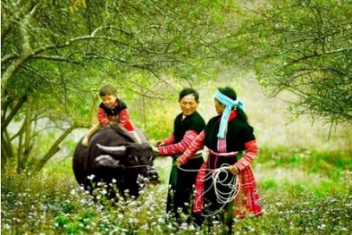 Những điểm du lịch Tết dương lịch 2015 hấp dẫn trong nước