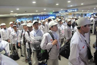 Quy định mới nhất về khiếu nại, tố cáo liên quan đến lao động và việc làm