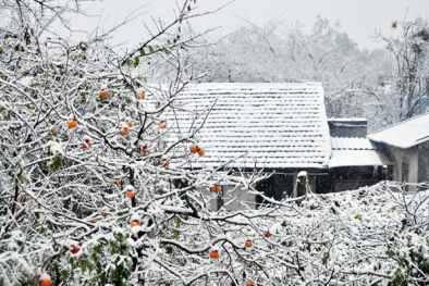 Dự báo thời tiết ngày mai 20/12: Đề phòng mưa dông trên biển