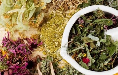 15 loại bệnh tuyệt đối không được uống trà