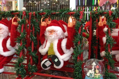 Thông thật mini đắt khách mùa Noel