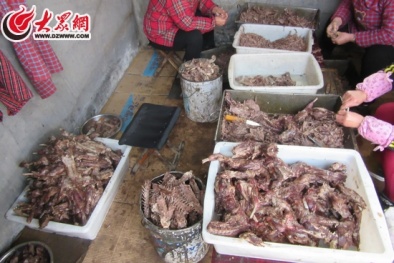 Phát hiện cơ sở chế biến thịt chó giả