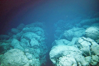 Tìm thấy loài cá lạ sống tại vực biển sâu nhất thế giới