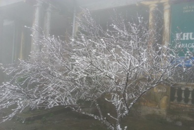 Dự báo thời tiết ngày mai 23/12: Nhiệt độ miền bắc tiếp tục giảm, trời rét đậm