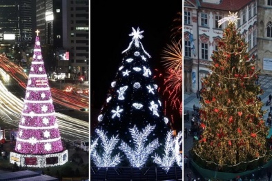 Ngắm những cây thông noel đẹp nhất thế giới