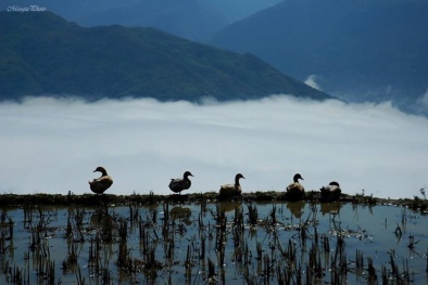 Những địa điểm chụp ảnh Tết dương lịch 2015 tuyệt đẹp