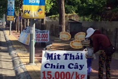 Cẩn thận với 'mít Thái chín cây'