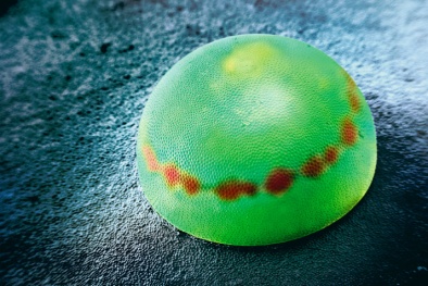 Khám phá thế giới các loại trứng kỳ lạ