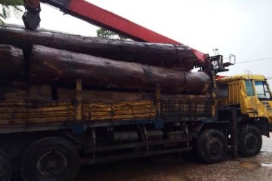 TP.HCM phạt gần 6.000 xe quá tải, dồn tải trong vòng gần 12 tháng