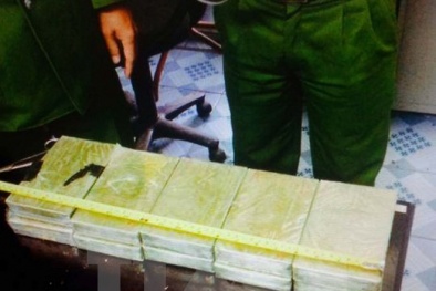Thanh Hóa bắt vụ vận chuyển ma túy lớn nhất từ trước đến nay
