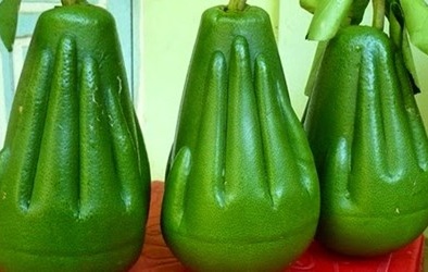 Bưởi hình Phật ở Hà Nội: Khách được mua tối đa 3 quả