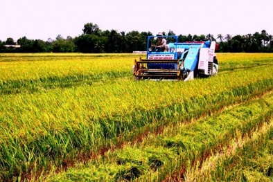 Cần Thơ xét chọn doanh nghiệp tham gia dự án năng suất chất lượng