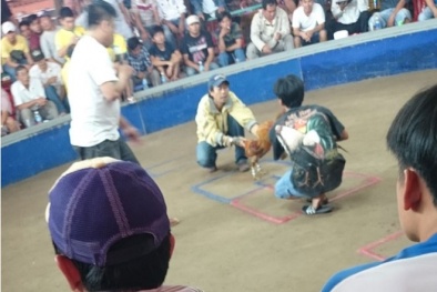 Xuất ngoại chui đánh bạc