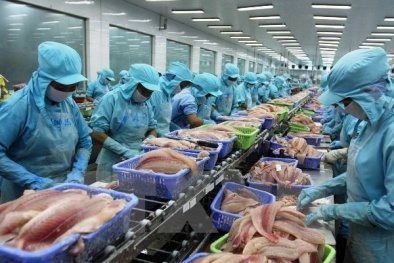 10 mặt hàng nông nghiệp có kim ngạch xuất khẩu vượt 1 tỷ USD