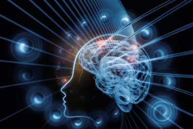 “Hiện thực” và “Tưởng tượng” trôi trái ngược trong não