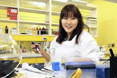 Nhật điều tra cáo buộc nhà khoa học ngụy tạo kết quả nghiên cứu