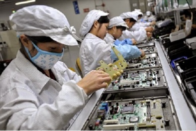 Một người Malaysia làm việc bằng 6 người Việt Nam