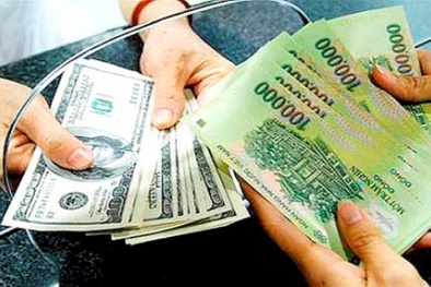 Năm 2015, tỷ giá tăng không quá 2%: Chuyên gia nói gì?