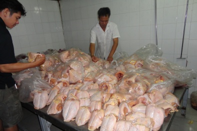 Nhận biết thực phẩm an toàn: Cách nhận biết gà Trung Quốc