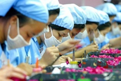 Kinh tế Việt Nam tăng trưởng vượt xa dự báo của Bloomberg