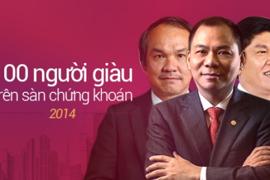 100 người giàu nhất sàn chứng khoán 2014