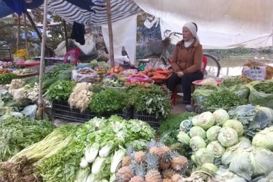 Giá cả thị trường hôm nay ngày 31/12/2014